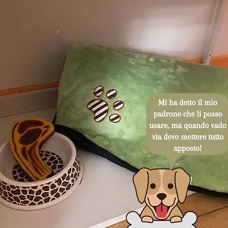 Coolarthome * Parme
